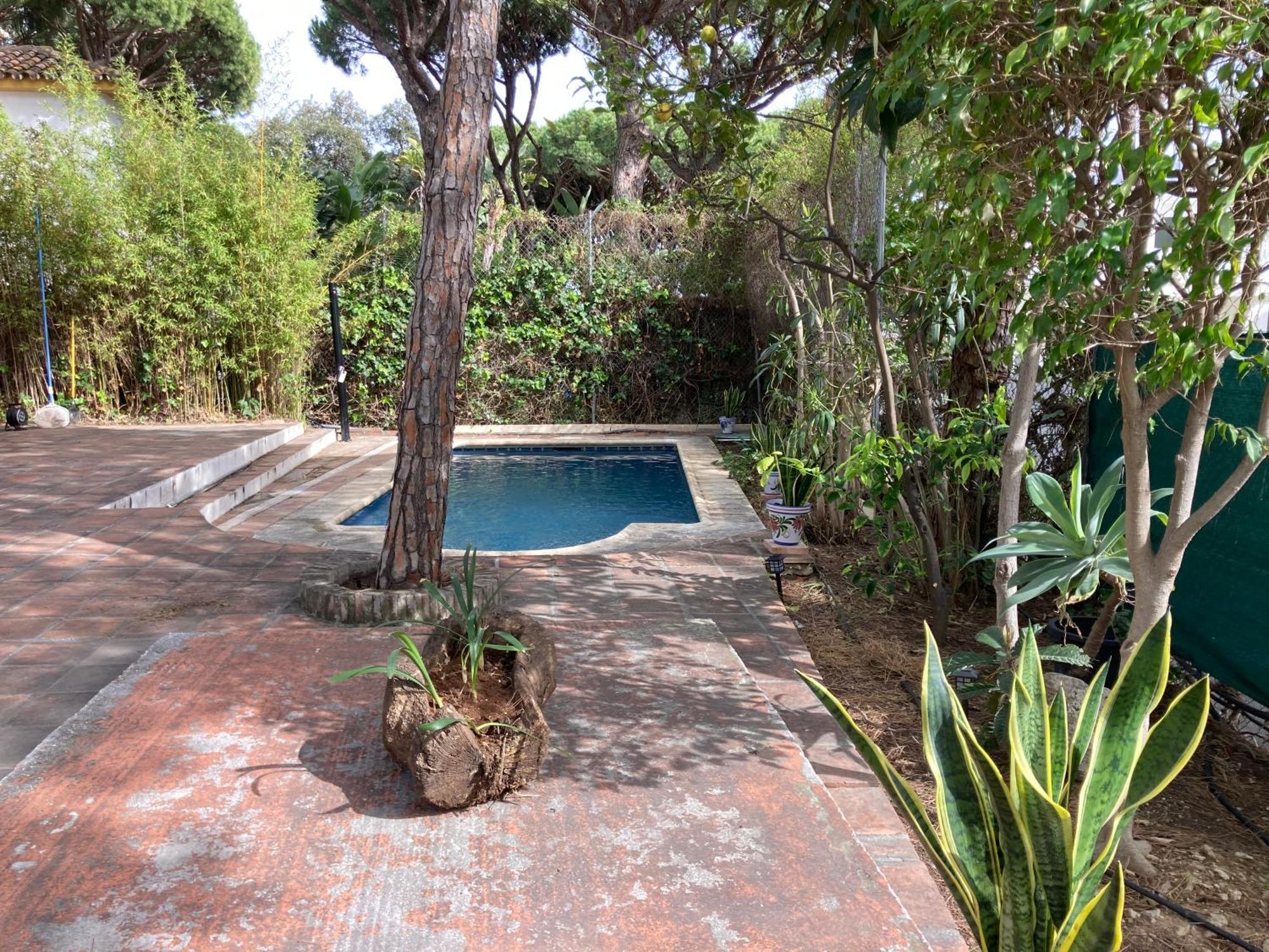 Marbella White Home, Calahonda, By Sol Maestranza Sitio de Calahonda Exteriör bild